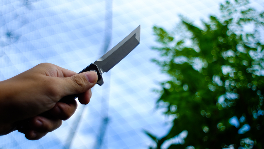Japanese folding pocket knife