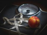 weight loss camp