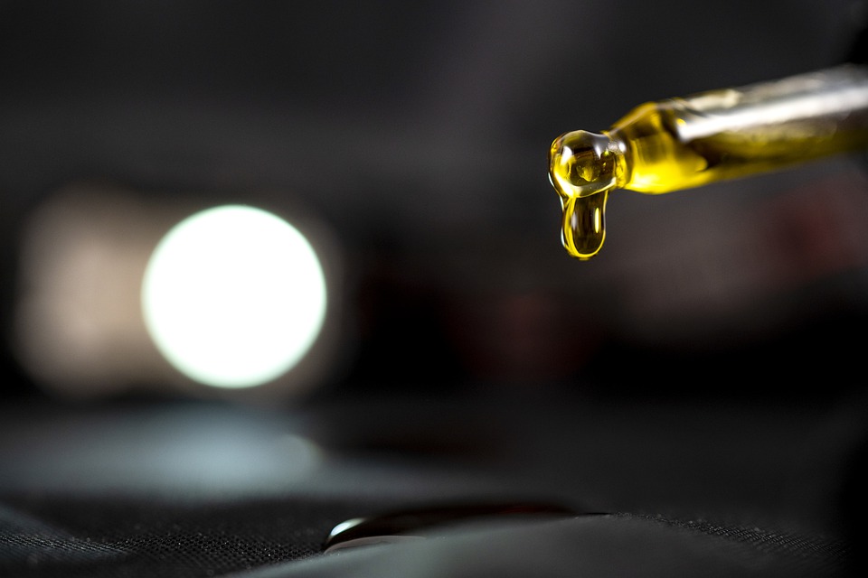 cbd-oil-pets