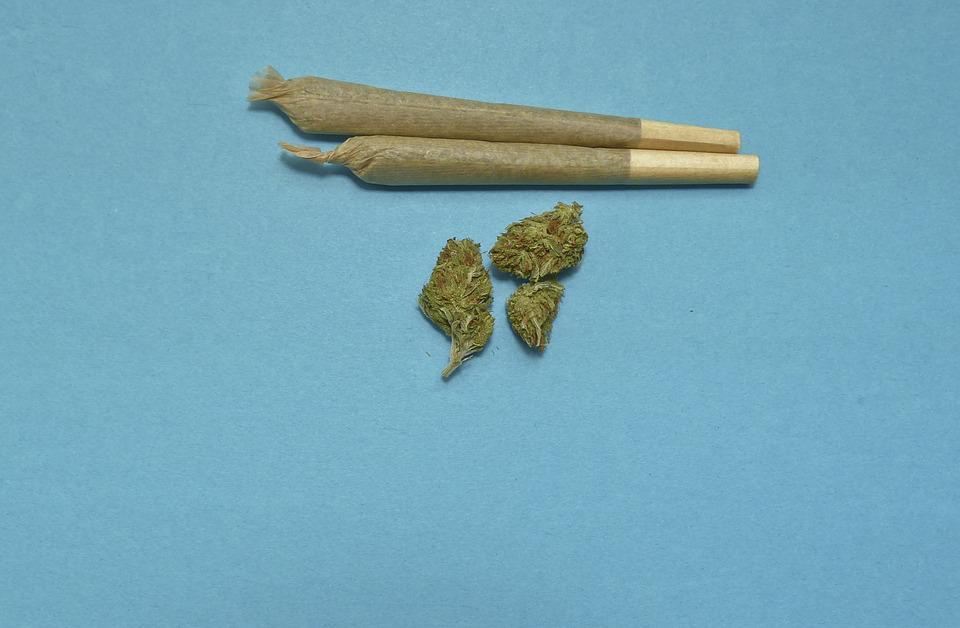 medical-marijuana