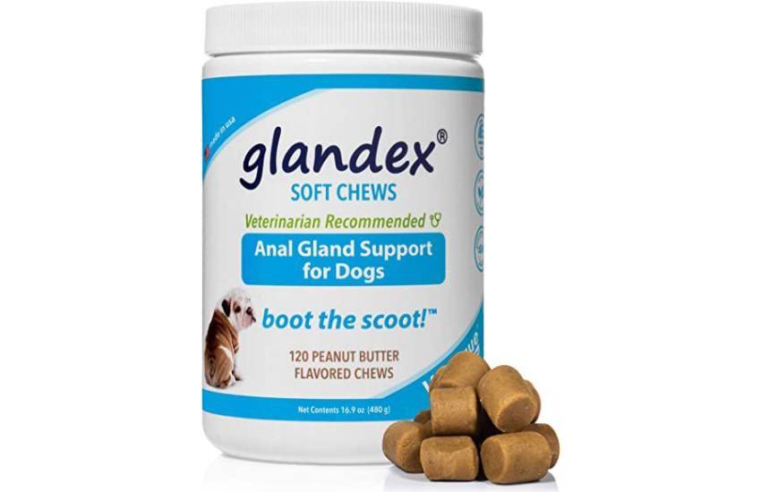 Improve Your Dog’s Anal Gland Health With Glandex Soft Chews