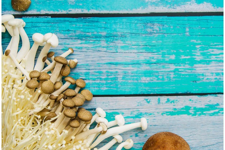 A Taste Of Magic: The Mysterious Blue Meanies Mushroom
