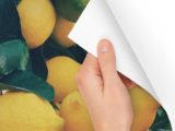 peel and stick posters