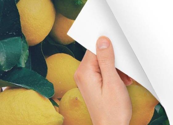 Give Your Home A Quick Makeover With Peel And Stick Posters