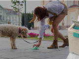 pet waste disposal system
