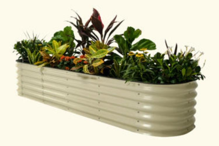 galvanized raised beds