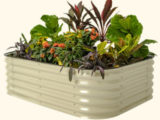 galvanized raised beds