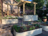 raised beds for sale