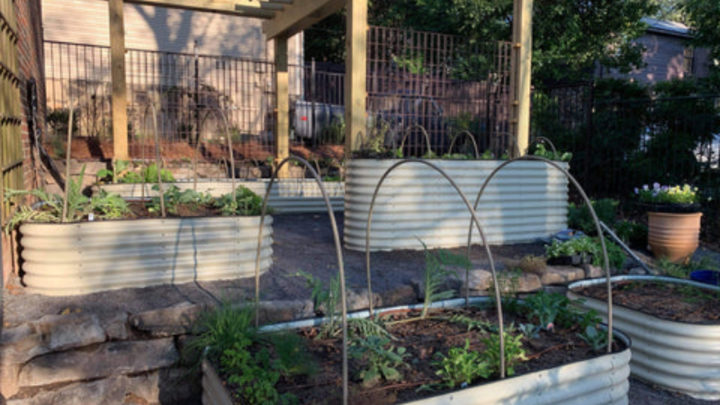 Maximize Your Garden Potential With Raised Beds For Sale