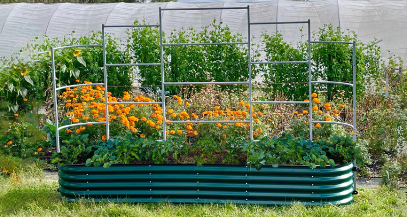 raised beds for sale