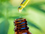 Best CBD oil
