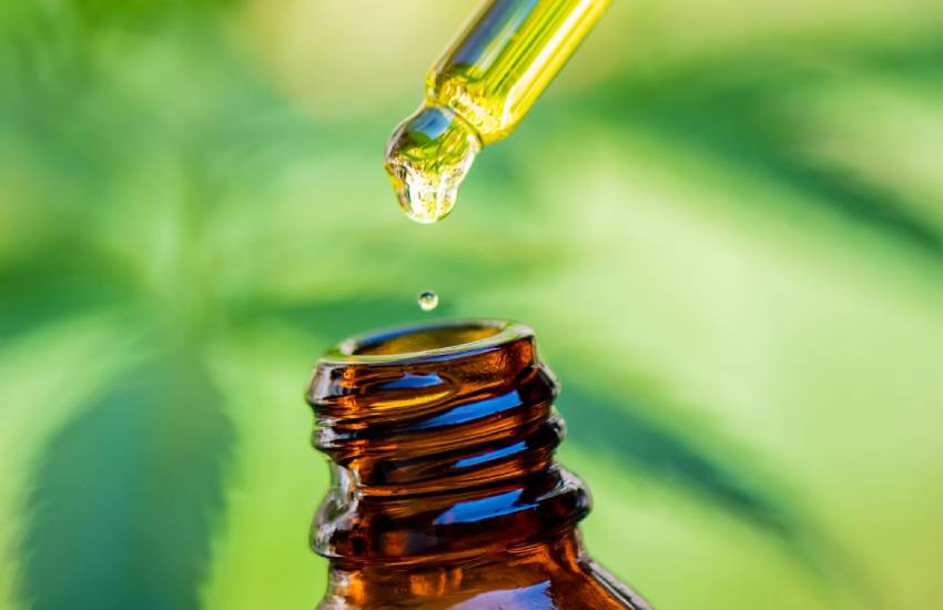 Understand The Benefits Of Using The Best CBD Oil