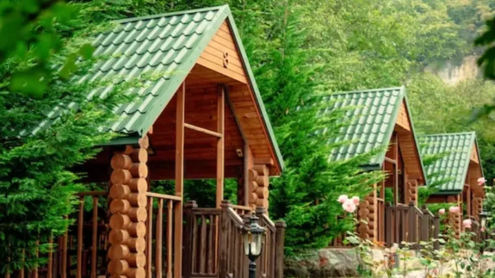 The Rise of Luxury Big Bear Cabin Rentals: Rustic Retreats Trend