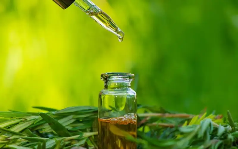 CBD oil in Tucson