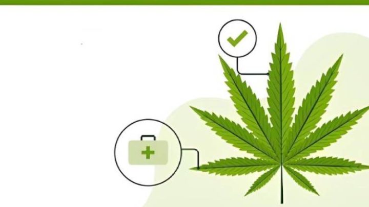Blazing Trails: A Cannabis Card Holder’s Manifesto