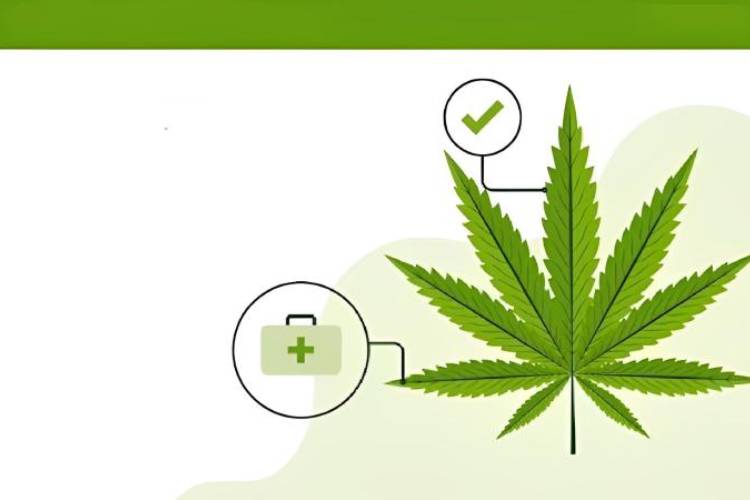 Blazing Trails: A Cannabis Card Holder’s Manifesto