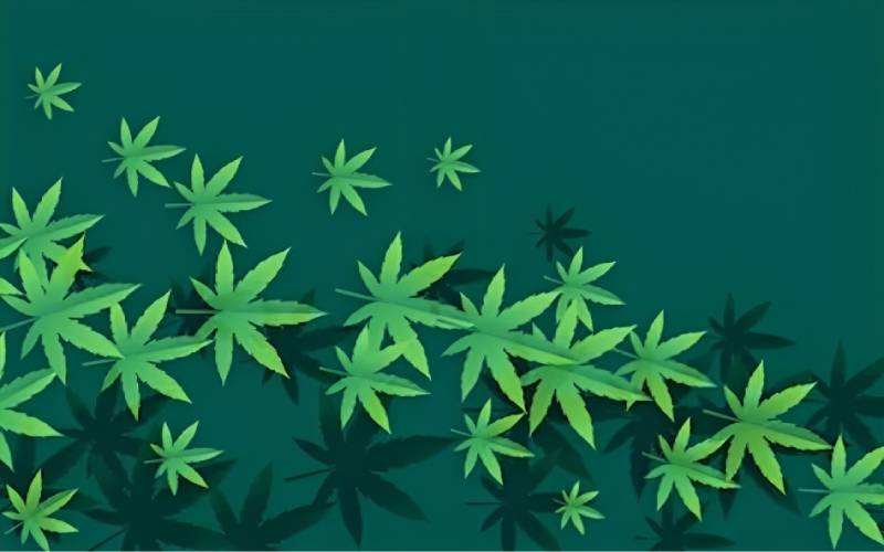 cannabis card Naples