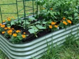 Galvanized Raised Bed Planters