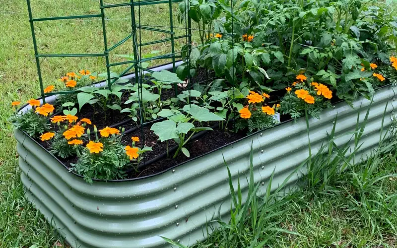 Transform Your Garden Into An Oasis with Galvanized Raised Bed Planters