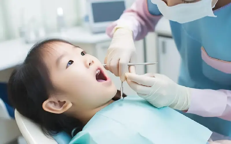 What Services Does A General Dentist In Santa Rosa Offer?