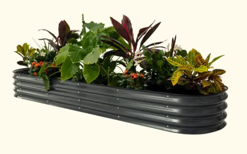 Garden Like A Pro: Unlock Your Green Thumb with our Raised Garden Bed Kit