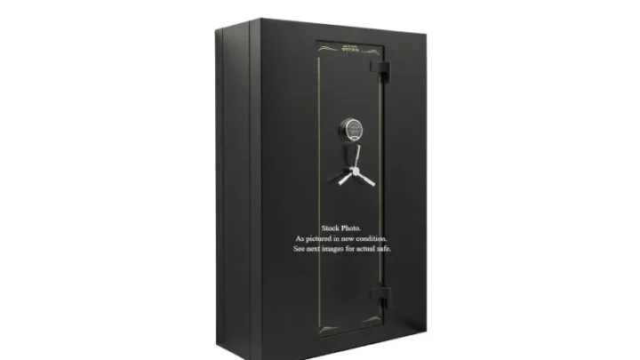 The Essential Security Tool Snapsafe Lock Box