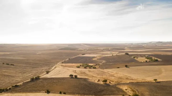 How To Invest Wisely In Land For Sale In AZ?