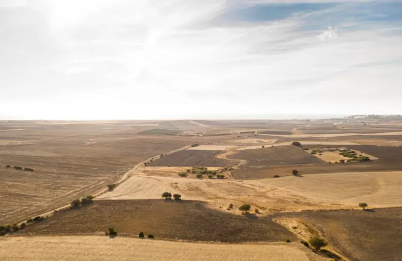 How To Invest Wisely In Land For Sale In AZ?