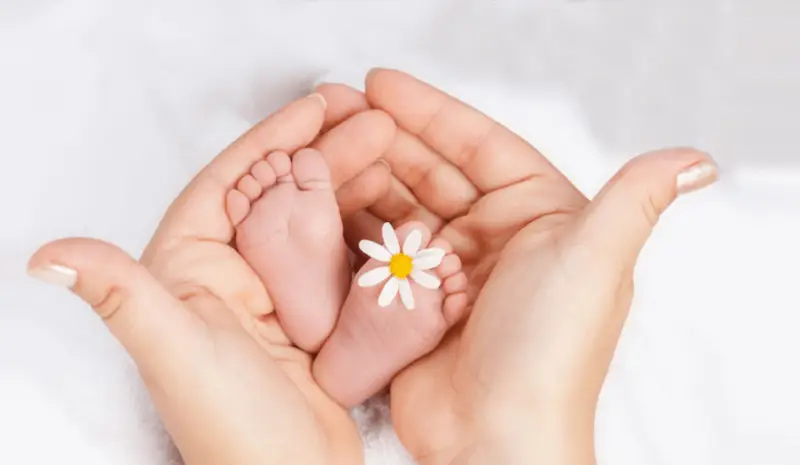 How San Diego Fertility Center Empowers Parenthood?