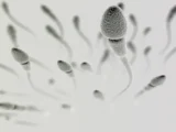 iui treatment san diego