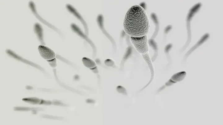 Your Guide To Success Rates For IUI Treatment In San Diego