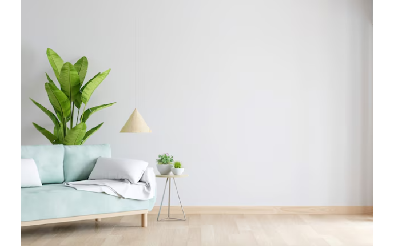 The ROI Of Home Staging In Vancouver: Does It Pay Off?