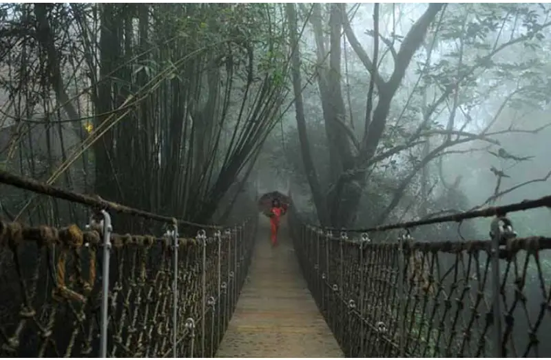 Kerala tours