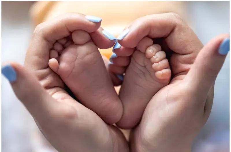 Egg donation san diego.