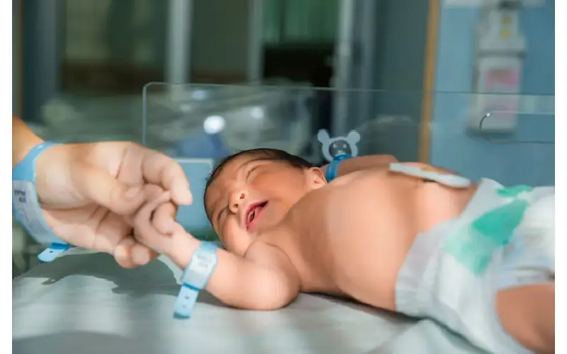 Future-Proof Your Baby’s Health With Newborn Stem Cell Banking Sunrise As Part Of Your Birth Plan