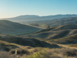 Serene, sunlit Southern California landscape symbolizing natural burial and eco-conscious end-of-life choices.